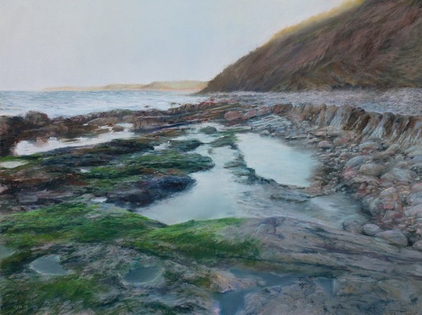 BUCKS MILLS SHORE, WINTER AFTERNOON<br />Pastel on paper /<br />47 x 62 cm / 03.2018<br />Sold