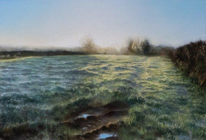 SOMERSET FIELD (Fading Frost, January)<br />Soft Pastel on paper /<br />33 x 48 cm / 2020