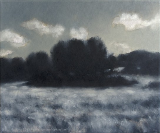 FIELD<br />oil on canvas / 2013