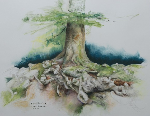 BEECH TREE ROOTS, NEW FOREST / <br />Mixed media on 100% cotton paper / <br />37 x 47 cm / 8.2020